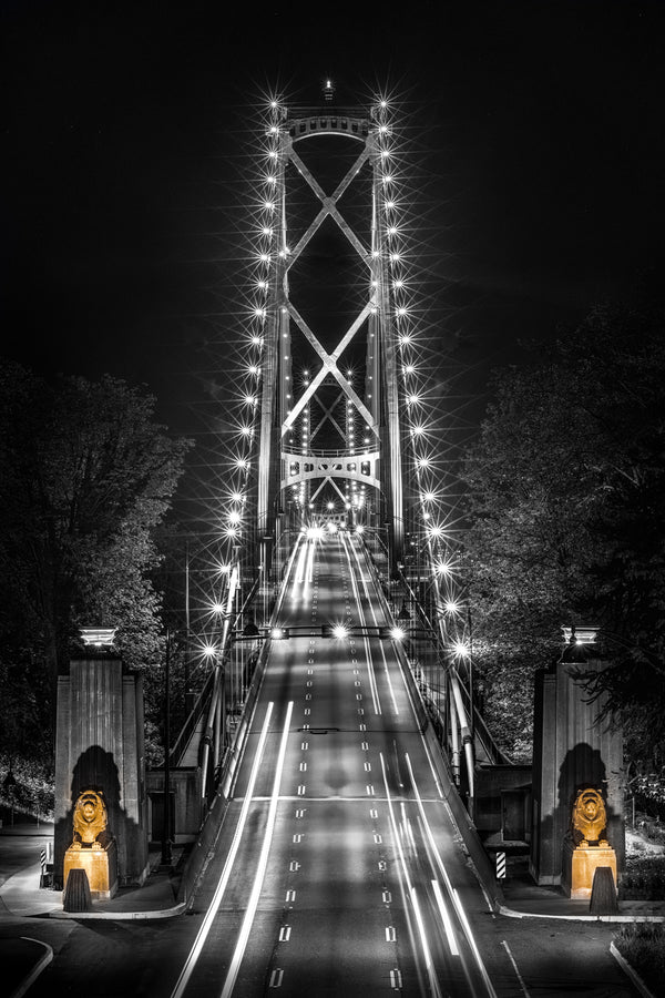 Lions Gate Bridge -  Vancouver